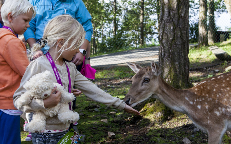 Safarifrokost
